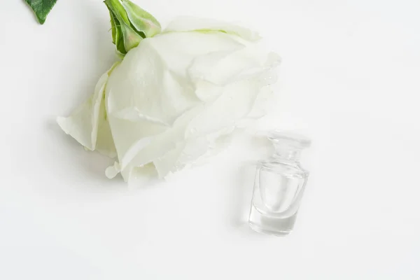 Ароматерапия с ароматом розы с одной белой розой на белом текстурированном фоне с копировальным пространством. Mockup — стоковое фото