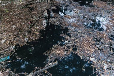 Mutfak ya da evdeki gibi ziyan olmuş ya da mahvolmuş yiyecekler ve diğer artıklar. 10