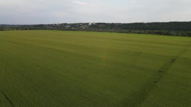 Arazinin üzerinde uçan hava manzarası. Nehrin üzerinden uçuyor. Rusya