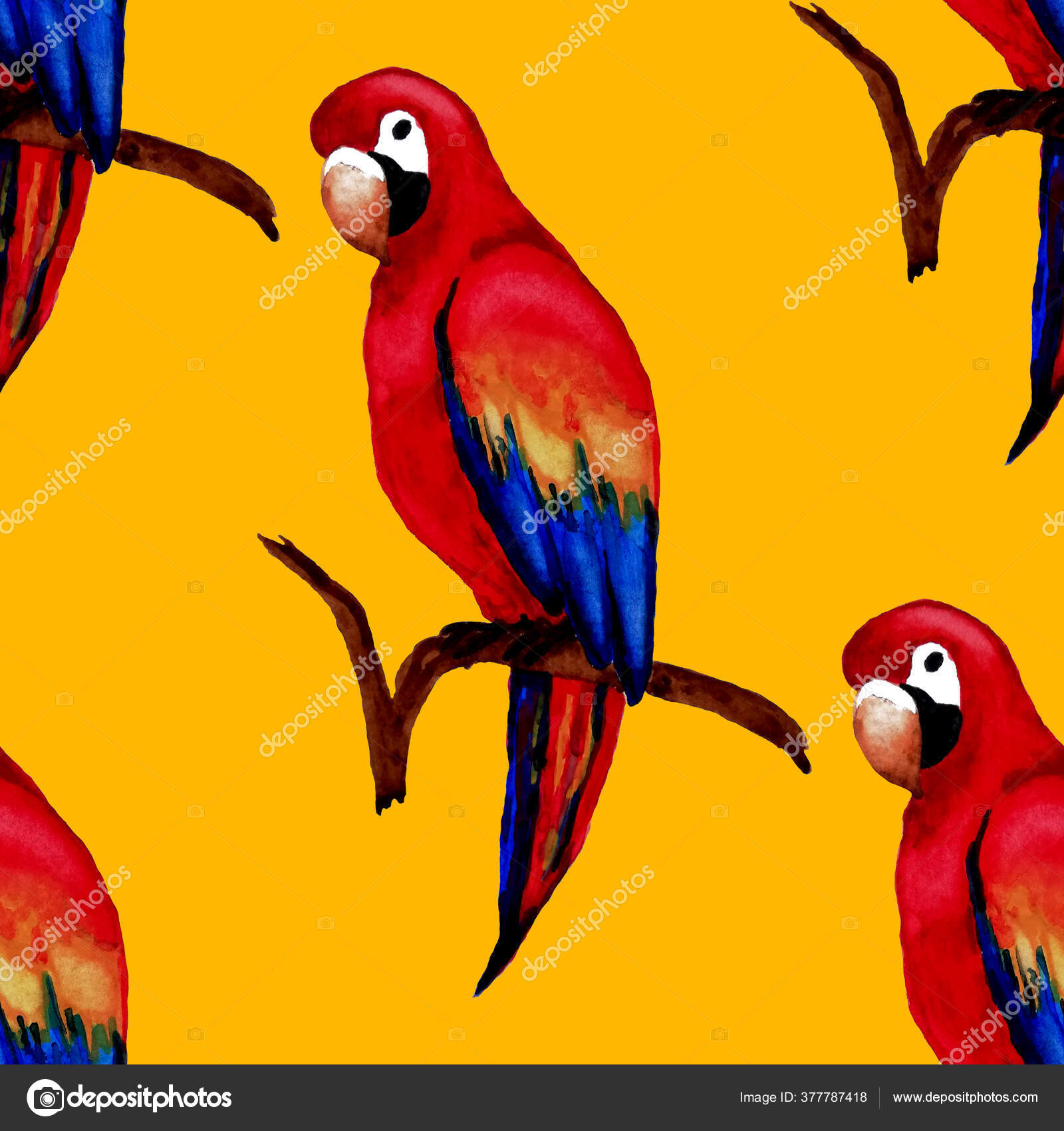 Watercolor Seamless Pattern Macaw Parrot Exotic Jungle Bird Wallpaper Great Stock Photo by ©NatalliaNovik 377787418 Watercolor Seamless Pattern Macaw Parrot Exotic Jungle Bird Wallpaper Great Stock Photo by ©NatalliaNovik 377787418