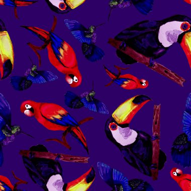 Tukan, papağan ve sinekkuşuyla suluboya desenli. Yaz tropik illüstrasyonu. Kusursuz soyut, vahşi, egzotik hayvan baskısı. Tatlı çizgi film vahşi hayvan..