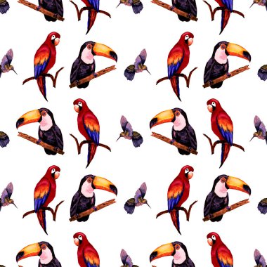 Tukan, papağan ve sinekkuşuyla suluboya desenli. Yaz tropik illüstrasyonu. Kusursuz soyut, vahşi, egzotik hayvan baskısı. Tatlı çizgi film vahşi hayvan..