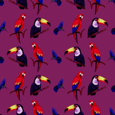 Tukan, papağan ve sinekkuşuyla suluboya desenli. Yaz tropik illüstrasyonu. Kusursuz soyut, vahşi, egzotik hayvan baskısı. Tatlı çizgi film vahşi hayvan..