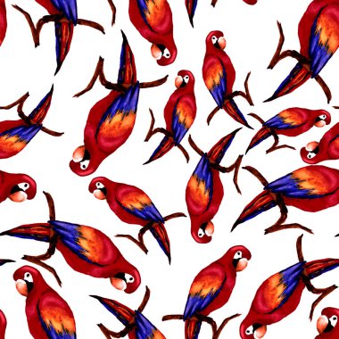 Papağan papağanıyla suluboya kusursuz desen. Egzotik orman kuşu duvar kağıdı. Her amaç için harika bir tasarım. Parlak yaz baskısı.