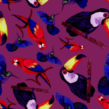 Tukan, papağan ve sinekkuşuyla suluboya desenli. Yaz tropik illüstrasyonu. Kusursuz soyut, vahşi, egzotik hayvan baskısı. Tatlı çizgi film vahşi hayvan..