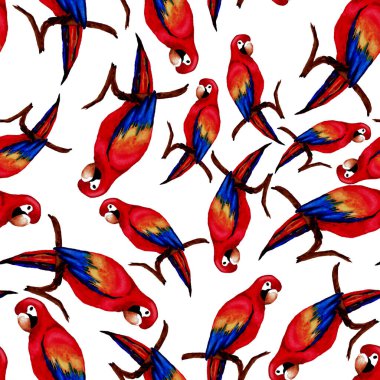 Papağan papağanıyla suluboya kusursuz desen. Egzotik orman kuşu duvar kağıdı. Her amaç için harika bir tasarım. Parlak yaz baskısı.