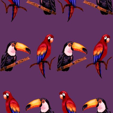 Tukan, papağan ve sinekkuşuyla suluboya desenli. Yaz tropik illüstrasyonu. Kusursuz soyut, vahşi, egzotik hayvan baskısı. Tatlı çizgi film vahşi hayvan..