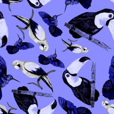 Tukan, papağan ve sinekkuşuyla suluboya desenli. Yaz tropik illüstrasyonu. Kusursuz soyut, vahşi, egzotik hayvan baskısı. Tatlı çizgi film vahşi hayvan..