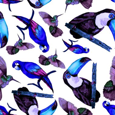 Tukan, papağan ve sinekkuşuyla suluboya desenli. Yaz tropik illüstrasyonu. Kusursuz soyut, vahşi, egzotik hayvan baskısı. Tatlı çizgi film vahşi hayvan..