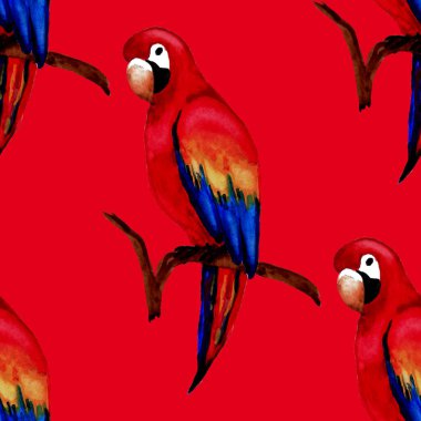 Papağan papağanıyla suluboya kusursuz desen. Egzotik orman kuşu duvar kağıdı. Her amaç için harika bir tasarım. Parlak yaz baskısı.