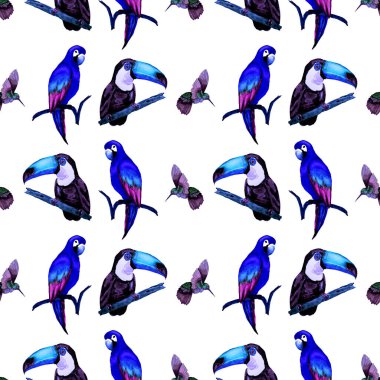 Tukan, papağan ve sinekkuşuyla suluboya desenli. Yaz tropik illüstrasyonu. Kusursuz soyut, vahşi, egzotik hayvan baskısı. Tatlı çizgi film vahşi hayvan..