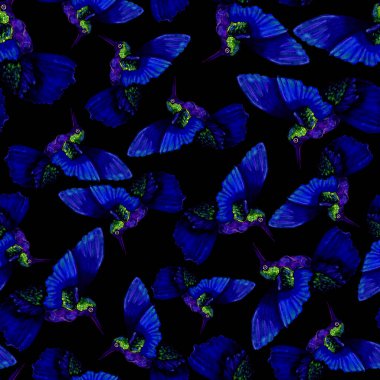 Sinek kuşuyla dikişsiz suluboya desen. Renkli sinekkuşu desenli suluboya çizimi her türlü tasarım için. Kusursuz kumaş dokusu.