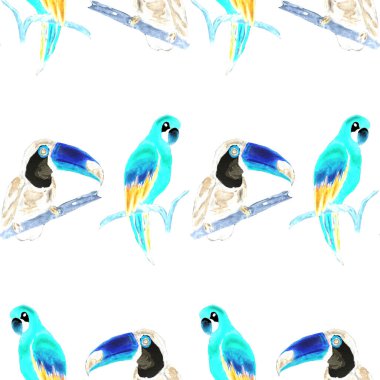 Tukan, papağan ve sinekkuşuyla suluboya desenli. Yaz tropik illüstrasyonu. Kusursuz soyut, vahşi, egzotik hayvan baskısı. Tatlı çizgi film vahşi hayvan..