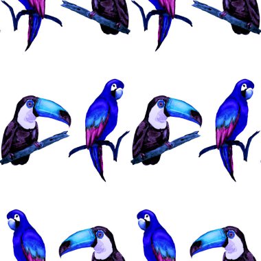 Tukan, papağan ve sinekkuşuyla suluboya desenli. Yaz tropik illüstrasyonu. Kusursuz soyut, vahşi, egzotik hayvan baskısı. Tatlı çizgi film vahşi hayvan..