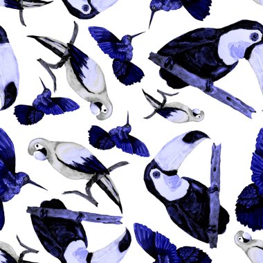 Tukan, papağan ve sinekkuşuyla suluboya desenli. Yaz tropik illüstrasyonu. Kusursuz soyut, vahşi, egzotik hayvan baskısı. Tatlı çizgi film vahşi hayvan..