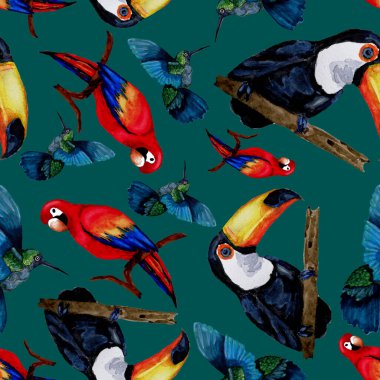 Tukan, papağan ve sinekkuşuyla suluboya desenli. Yaz tropik illüstrasyonu. Kusursuz soyut, vahşi, egzotik hayvan baskısı. Tatlı çizgi film vahşi hayvan..