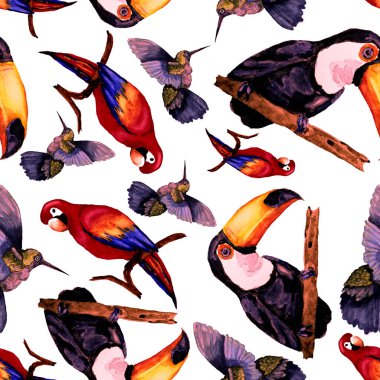 Tukan, papağan ve sinekkuşuyla suluboya desenli. Yaz tropik illüstrasyonu. Kusursuz soyut, vahşi, egzotik hayvan baskısı. Tatlı çizgi film vahşi hayvan..