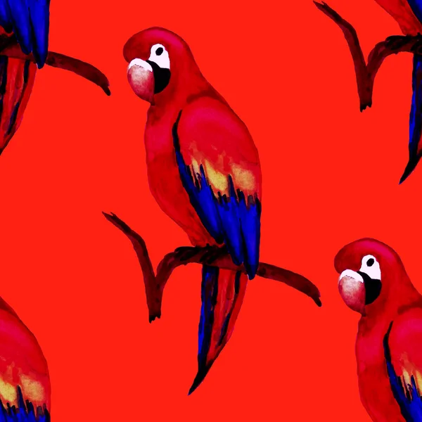 Акварельний Безшовний Візерунок Папугою Макави Екзотичні Шпалери Джунглів Чудовий Дизайн — стокове фото
