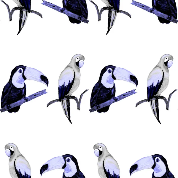 Akvarel Hladký Vzor Toucanem Papouškem Macaw Kolibříkem Letní Tropická Ilustrace — Stock fotografie