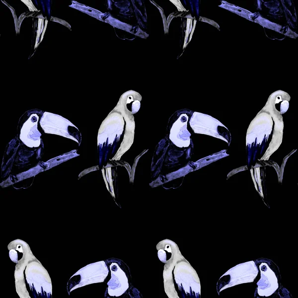 Aquarell Nahtloses Muster Mit Tukan Ara Papagei Und Kolibri Sommer — Stockfoto