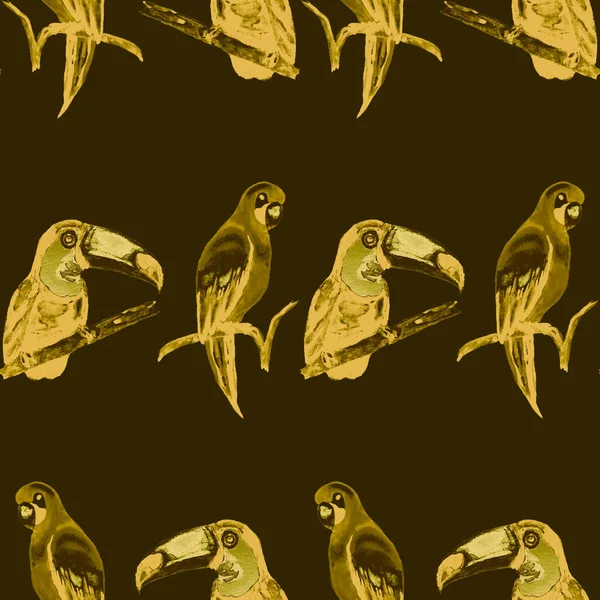 Aquarel Naadloos Patroon Met Toekan Papegaai Kolibrie Zomer Tropische Illustratie — Stockfoto