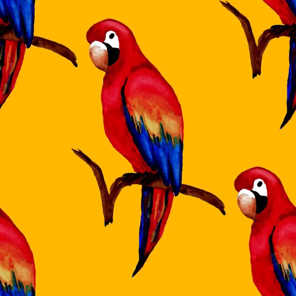 Papağan Papağanıyla Suluboya Kusursuz Desen Egzotik Orman Kuşu Duvar Kağıdı — Stok fotoğraf
