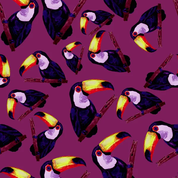 Akvarell Sömlöst Mönster Med Toucan Sommar Tropisk Illustration Sömlös Abstrakt — Stockfoto