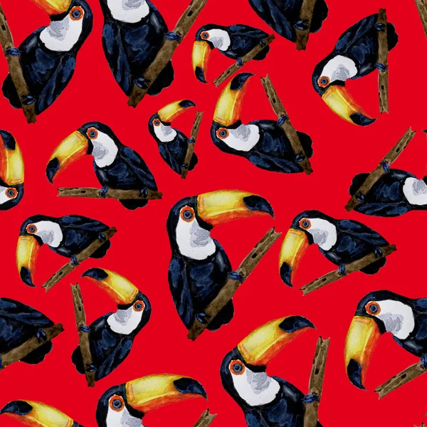 Watercolor Seamless Pattern Toucan Summer Tropical Illustration Seamless Abstract Wild — Stock Photo, Image