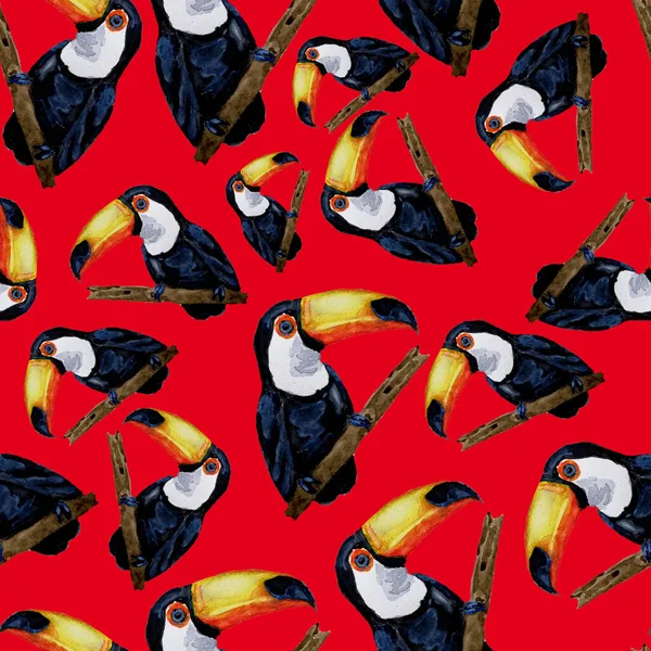 Acquerello Modello Senza Soluzione Continuità Con Toucan Illustrazione Tropicale Estiva — Foto Stock