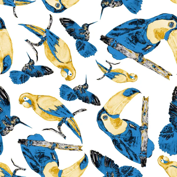 Watercolor Seamless Pattern Toucan Macaw Parrot Hummingbird Summer Tropical Illustration — Stock Photo, Image