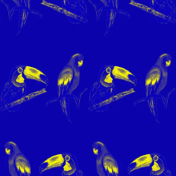 Akvarell Zökkenőmentes Minta Tukán Arapapapagáj Kolibri Nyári Trópusi Illusztráció Zökkenőmentes — Stock Fotó