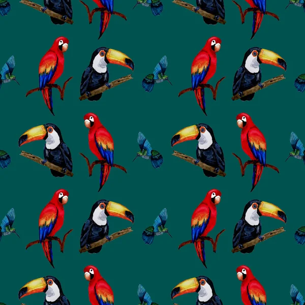 Akvarel Hladký Vzor Toucanem Papouškem Macaw Kolibříkem Letní Tropická Ilustrace — Stock fotografie