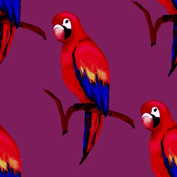 Акварель Бесшовная Картина Попугаем Ара Экзотические Обои Птиц Джунглях Отличный — стоковое фото