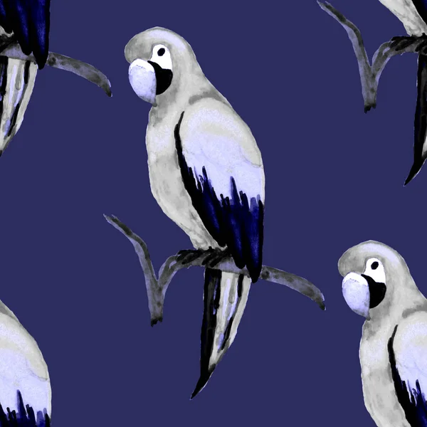 Akvarell Sömlöst Mönster Med Macaw Papegoja Exotisk Djungel Fågel Tapet — Stockfoto