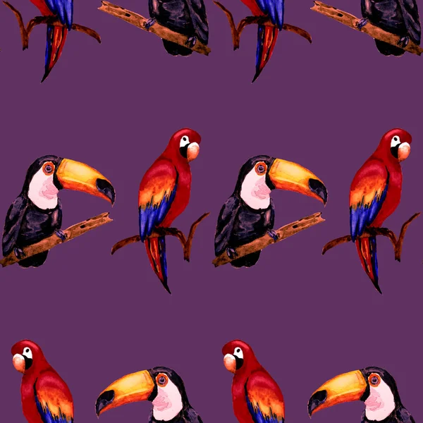 Watercolor Seamless Pattern Toucan Macaw Parrot Hummingbird Summer Tropical Illustration — Stock Photo, Image