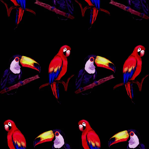 Акварельний Безшовний Візерунок Тунцем Папугою Макави Колібрі Літня Тропічна Ілюстрація — стокове фото