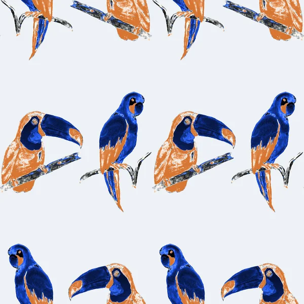 Watercolor Seamless Pattern Toucan Macaw Parrot Hummingbird Summer Tropical Illustration — Stock Photo, Image