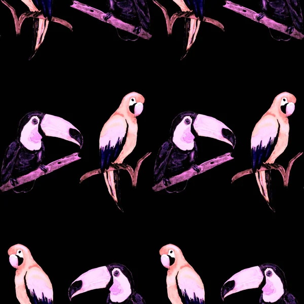 Watercolor Seamless Pattern Toucan Macaw Parrot Hummingbird Summer Tropical Illustration — Stock Photo, Image