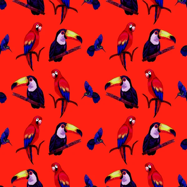 Watercolor Seamless Pattern Toucan Macaw Parrot Hummingbird Summer Tropical Illustration — Stock Photo, Image