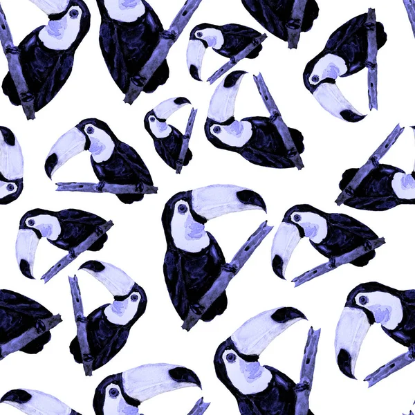 Watercolor Seamless Pattern Toucan Summer Tropical Illustration Seamless Abstract Wild — Stock Photo, Image