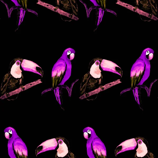 Tukan Papağan Sinekkuşuyla Suluboya Desenli Yaz Tropik Illüstrasyonu Kusursuz Soyut — Stok fotoğraf
