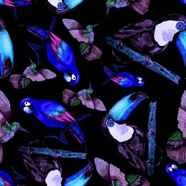 Aquarelle Motif Sans Couture Avec Toucan Perroquet Aras Colibri Illustration — Photo
