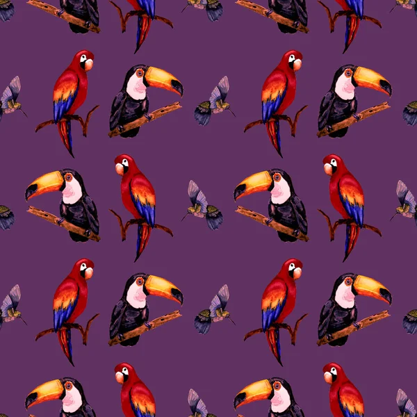 Watercolor Seamless Pattern Toucan Macaw Parrot Hummingbird Summer Tropical Illustration — Stock Photo, Image