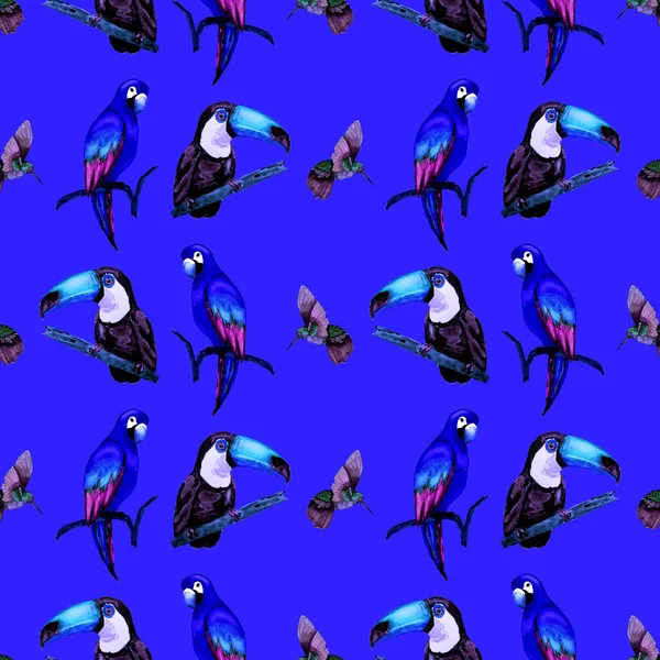 Aquarelle Motif Sans Couture Avec Toucan Perroquet Aras Colibri Illustration — Photo