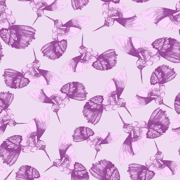 Aquarel Naadloos Patroon Met Kolibrie Aquarel Illustratie Met Kleurrijke Kolibrie — Stockfoto