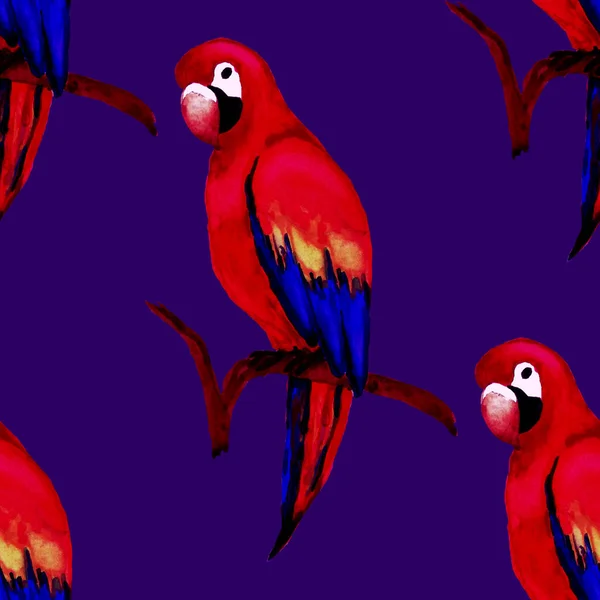 금강앵무 앵무새와 물갈퀴없는 이국적 정글의 목적으로 디자인이죠 — 스톡 사진