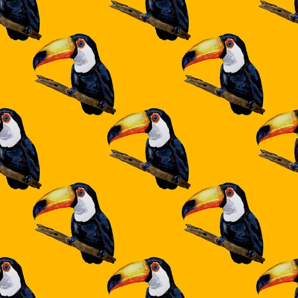 Akvarel Bezešvný Vzor Toucan Letní Tropická Ilustrace Bezproblémový Abstraktní Exotický — Stock fotografie