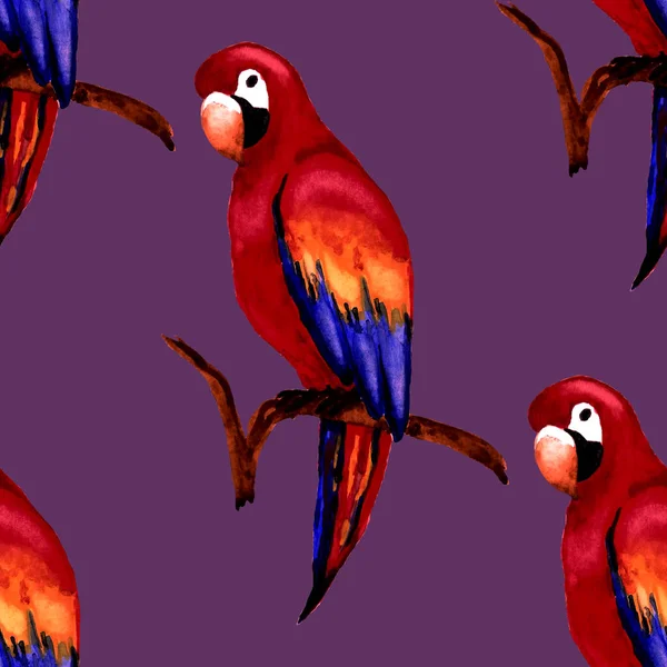 Watercolor Seamless Pattern Macaw Parrot Exotic Jungle Bird Wallpaper Great — Stock Photo, Image