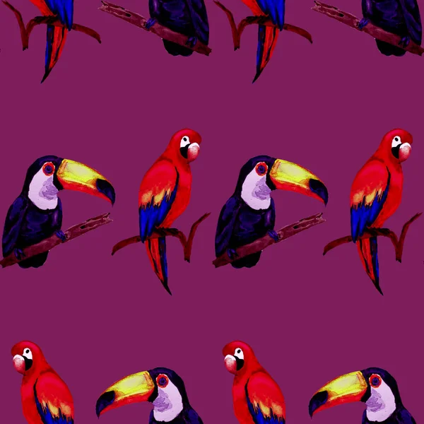 Watercolor Seamless Pattern Toucan Macaw Parrot Hummingbird Summer Tropical Illustration — Stock Photo, Image