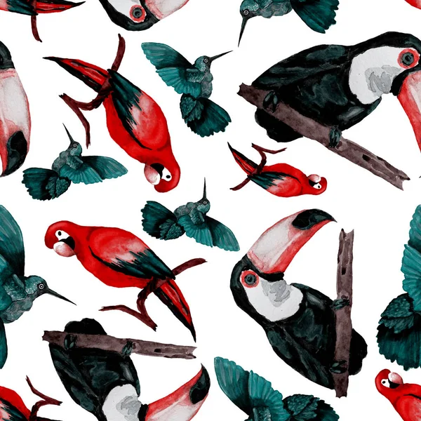 水彩斑斓的无缝图案 有通心粉 金刚鹦鹉和蜂鸟 夏季热带插图 无缝隙的野生异国情调动物指纹 可爱的卡通野生动物 — 图库照片